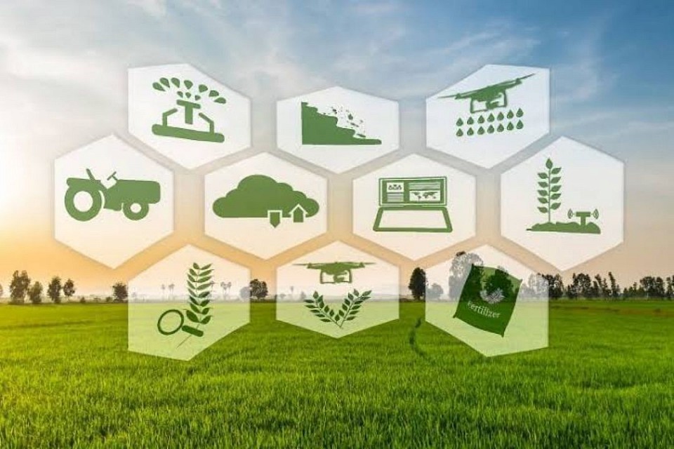OUR SERVICES