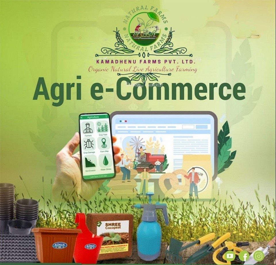 E-Commerce