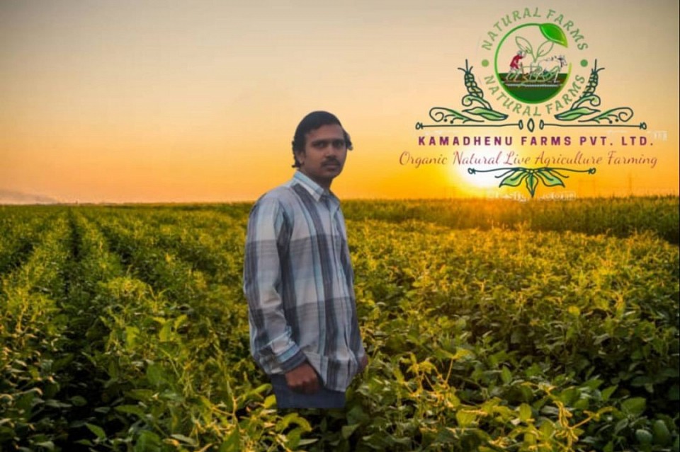 My image