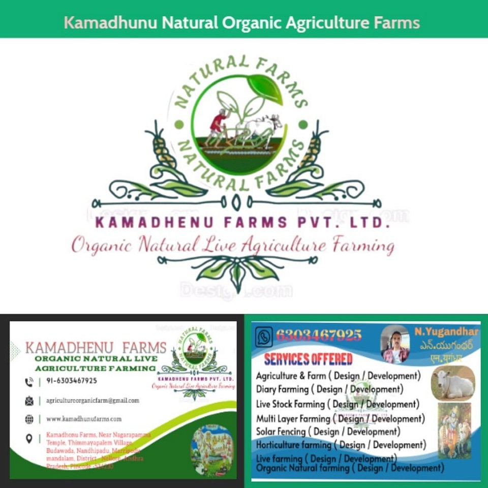 Address business card