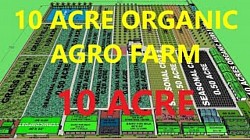 10 Acer