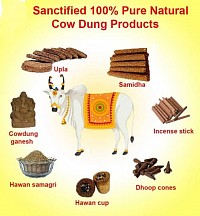 Cow Dung Products-1