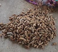 Chaintikayalu