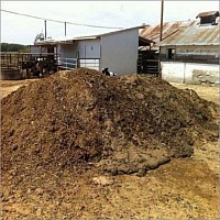 Fertilizer