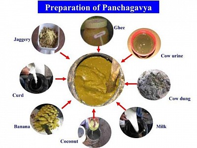 Panchayagya