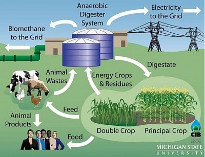 Bio digester
