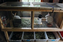 Small vermicomposting bins placed directly beneath organic matter producers.