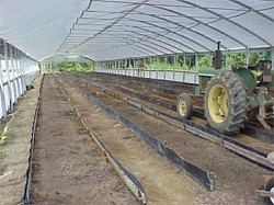 Vermicomposting swine manure in worm beds